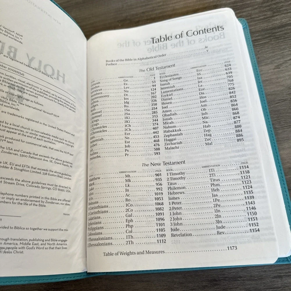 Zondervan Holy Bible Thinline Teal NIV New International Version Large Print